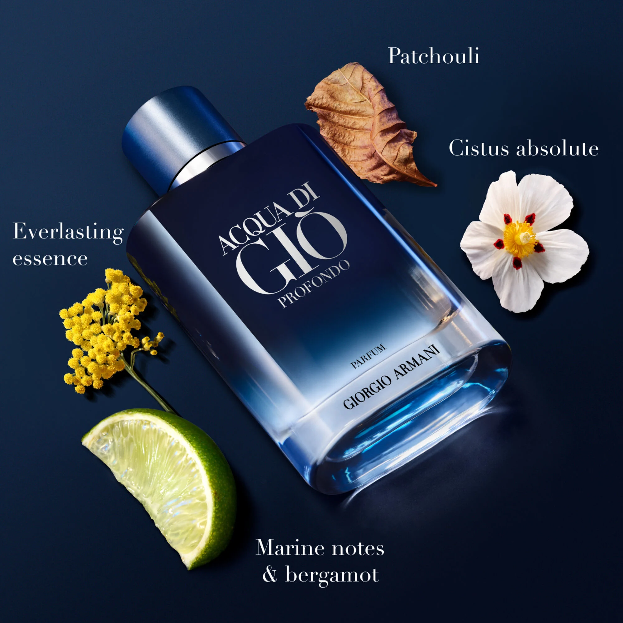 ACQUA DI GI¨° PROFONDO PARFUM